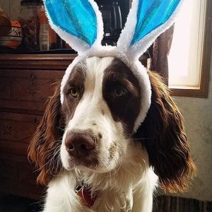 Meet your Posher, Tom